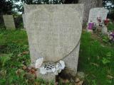 image of grave number 819876